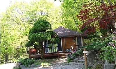 고로쇠나무 객실의 목재 외벽과 앞쪽 데크