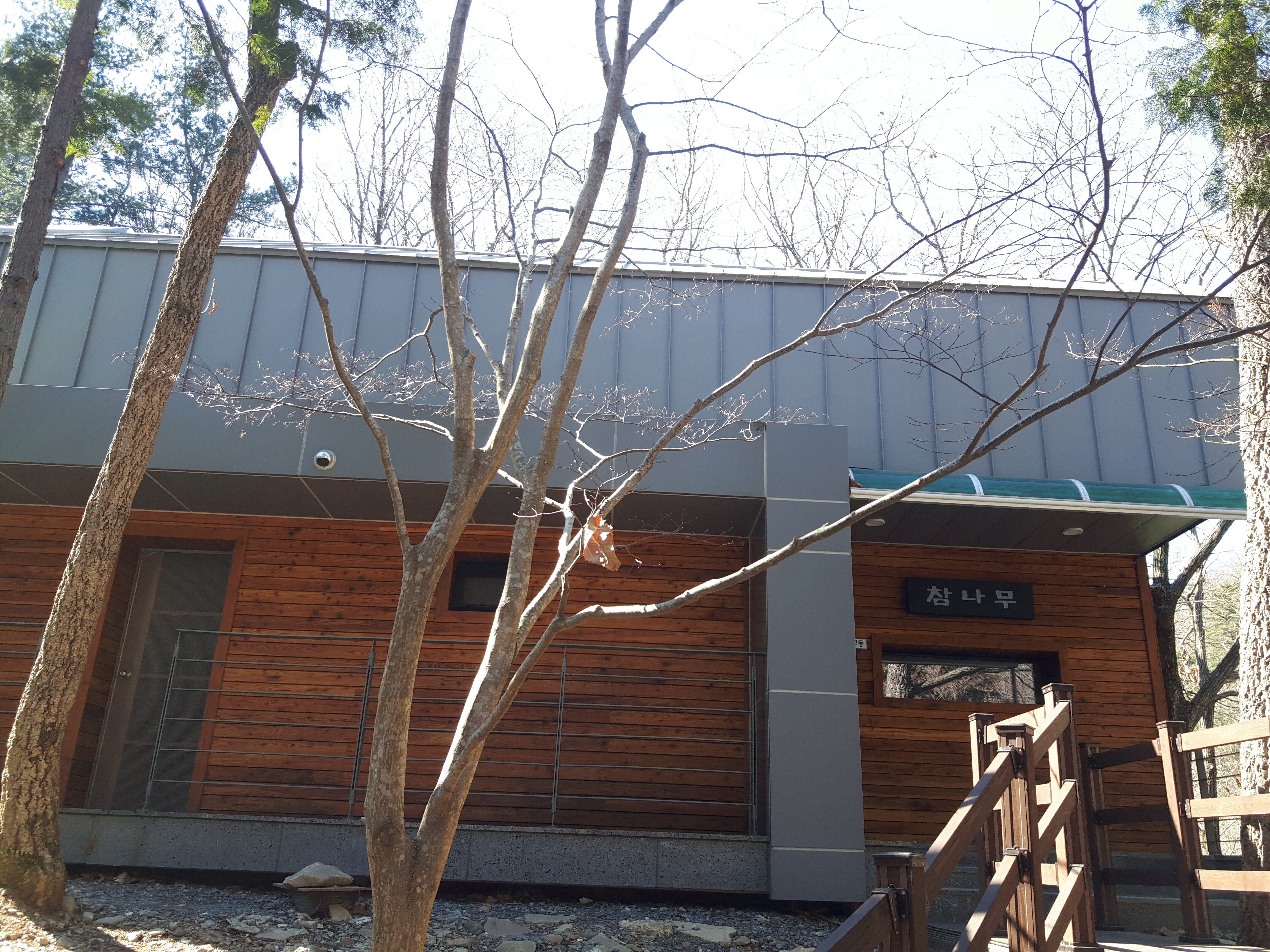 참나무동 출입구의 목제 계단과 외벽