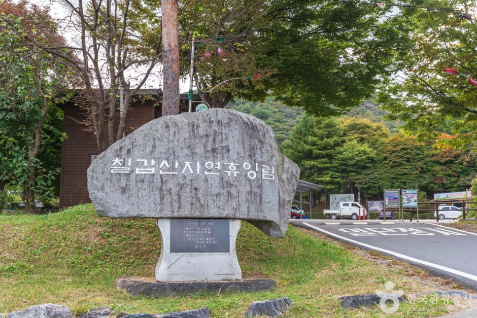 칠갑산자연휴양림 표지석과 차량 진입로, 뒤쪽 목조 건물이 보이는 입구