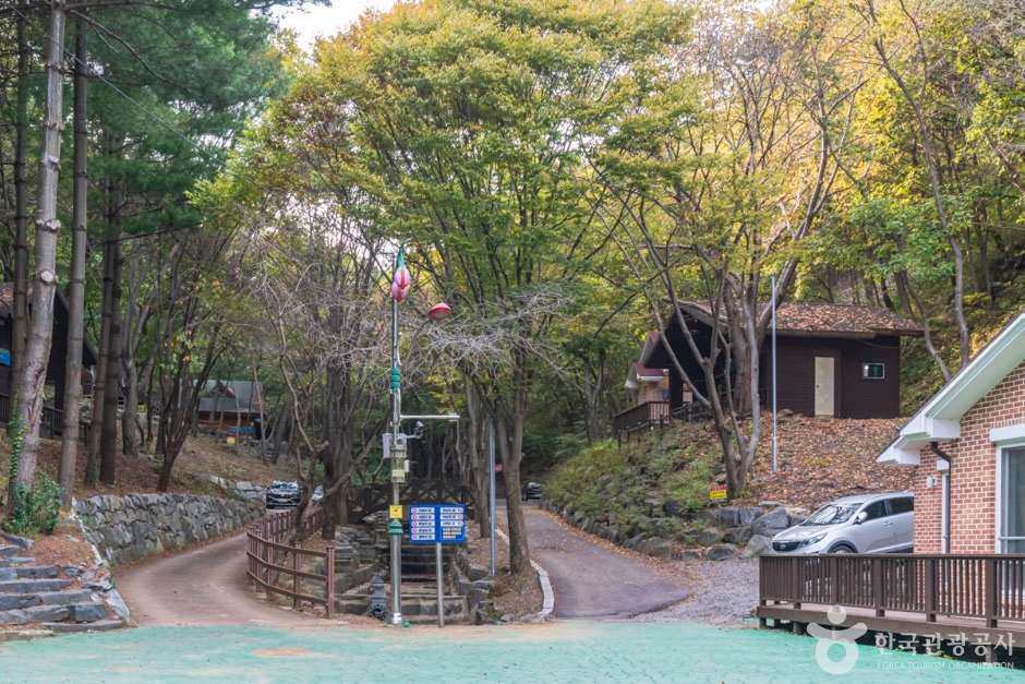 숲길이 두 갈래로 나뉘고 경사지 나무 사이에 여러 숙박동이 놓인 모습