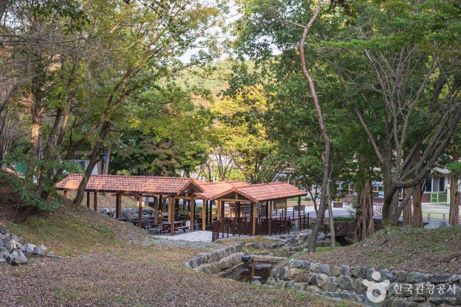 계곡과 숲 사이에 나란히 놓인 지붕형 야외 쉼터와 내부 피크닉 테이블