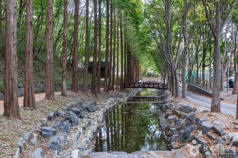 곧게 선 나무 사이 돌로 둘러싼 수로와 작은 목재 다리, 오른쪽 산책로