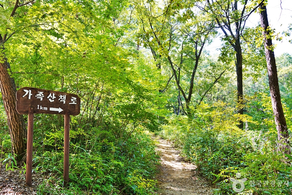 가족산책로 1km 방향 표지 옆으로 숲속 흙길이 이어지는 모습