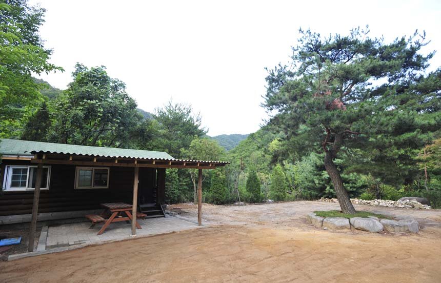 지붕 아래 피크닉 테이블과 앞쪽 빈 터가 보이는 하우스캠핑 외부