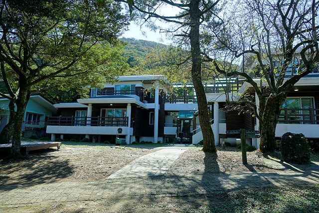 나무 사이의 포장 보행로 너머로 난간과 여러 층이 보이는 왕벚나무 숲속의집 외관