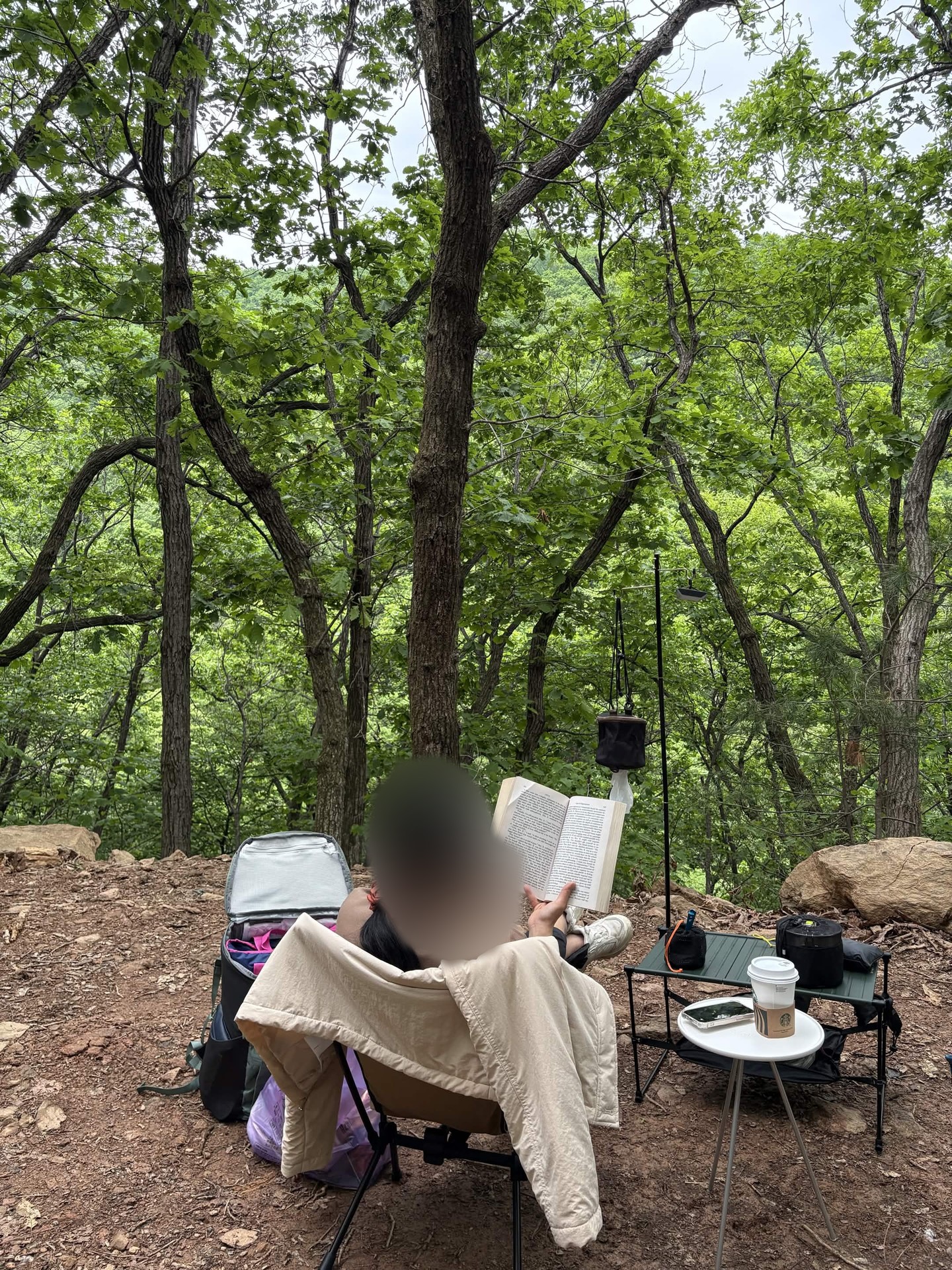 설매재자연휴양림 참나무숲에서 의자에 앉아 책을 읽는 모습