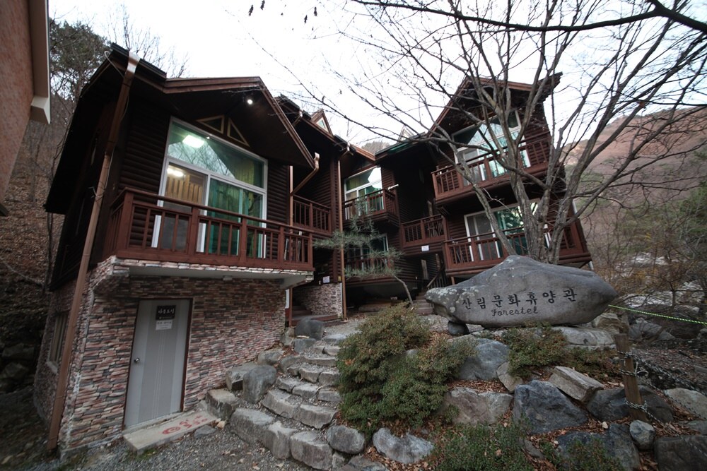 경사지에 계단으로 연결된 하단1관 노각나무 외관