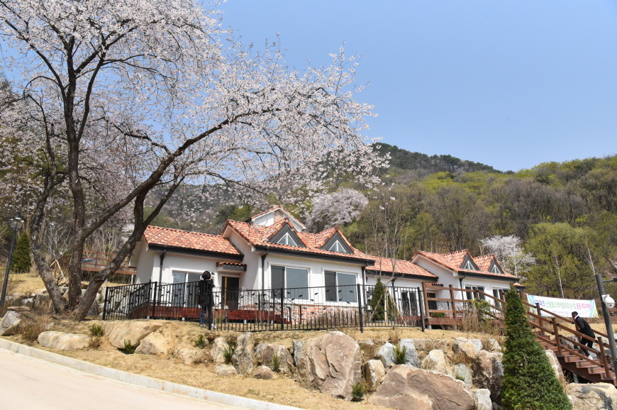 구름A 상품에 실린 외관으로, 나란한 객실 앞 데크와 오른쪽 진입 계단이 보입니다.