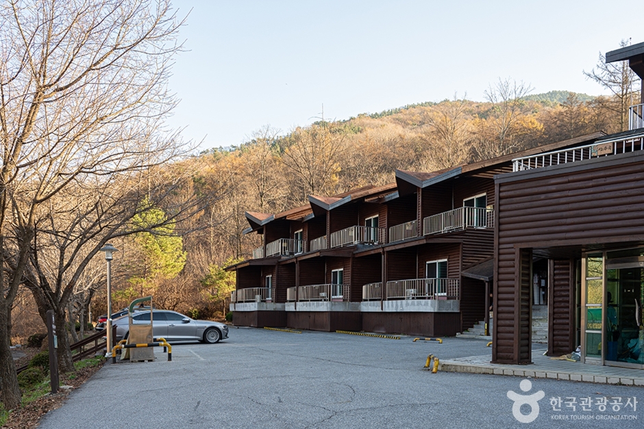 나무와 산비탈 아래 여러 객실의 발코니가 이어진 국립유명산자연휴양림 휴양관과 앞쪽 주차 공간