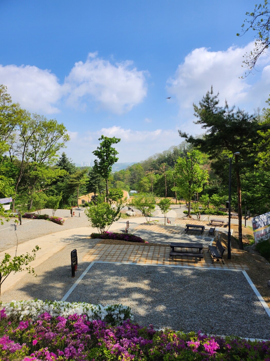 숲과 철쭉 사이에 조성된 자갈 캠핑 구획과 피크닉 테이블